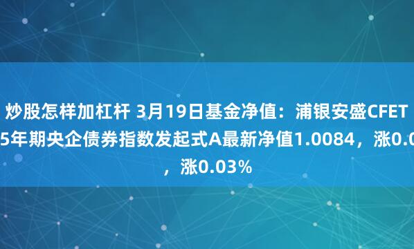 炒股怎样加杠杆 3月19日基金净值：浦银安盛CFETS0-5年期央企债券指数发起式A最新净值1.0084，涨0.03%