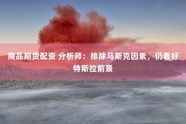 商品期货配资 分析师：排除马斯克因素，仍看好特斯拉前景