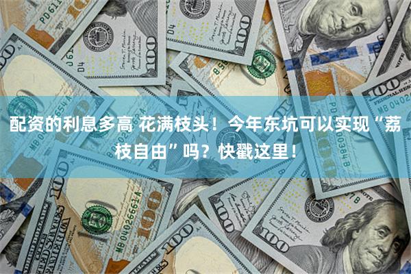 配资的利息多高 花满枝头！今年东坑可以实现“荔枝自由”吗？快戳这里！