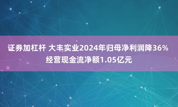 证券加杠杆 大丰实业2024年归母净利润降36% 经营现金流净额1.05亿元