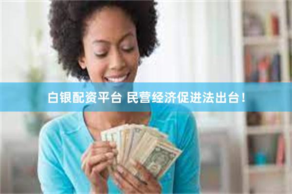 白银配资平台 民营经济促进法出台！