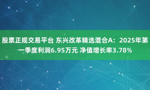 股票正规交易平台 东兴改革精选混合A：2025年第一季度利润6.95万元 净值增长率3.78%
