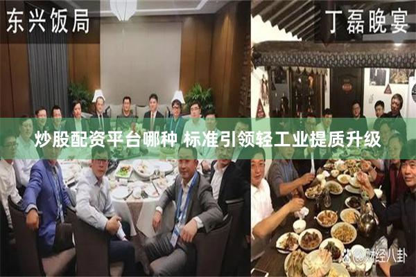 炒股配资平台哪种 标准引领轻工业提质升级