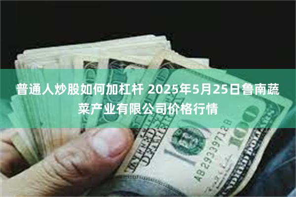 普通人炒股如何加杠杆 2025年5月25日鲁南蔬菜产业有限公司价格行情