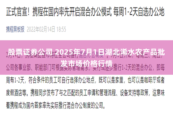 股票证券公司 2025年7月1日湖北浠水农产品批发市场价格行情