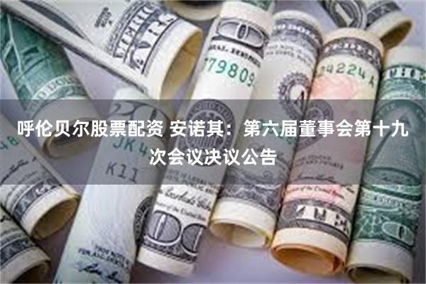 呼伦贝尔股票配资 安诺其：第六届董事会第十九次会议决议公告