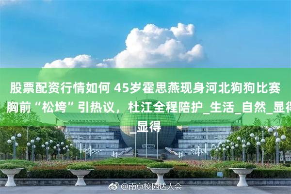 股票配资行情如何 45岁霍思燕现身河北狗狗比赛，胸前“松垮”引热议，杜江全程陪护_生活_自然_显得