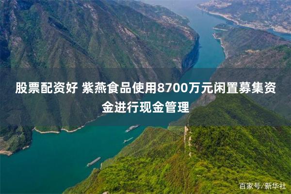 股票配资好 紫燕食品使用8700万元闲置募集资金进行现金管理