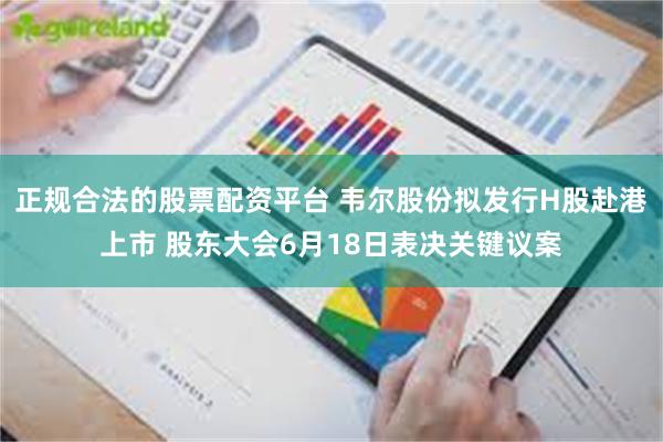 正规合法的股票配资平台 韦尔股份拟发行H股赴港上市 股东大会6月18日表决关键议案