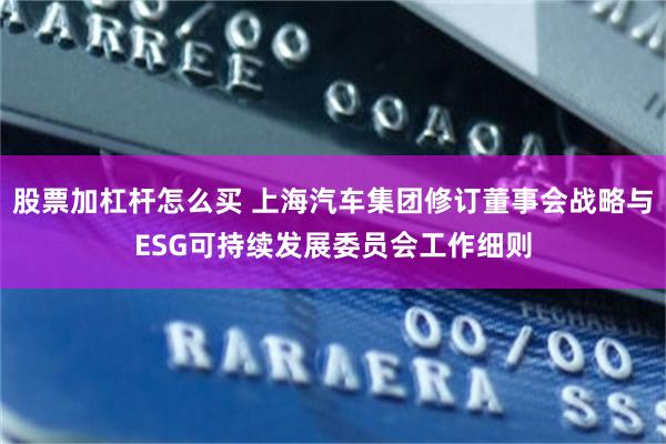 股票加杠杆怎么买 上海汽车集团修订董事会战略与ESG可持续发展委员会工作细则