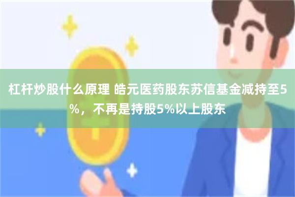 杠杆炒股什么原理 皓元医药股东苏信基金减持至5%，不再是持股5%以上股东