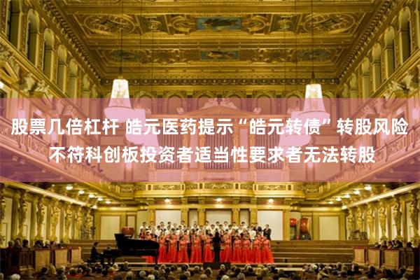 股票几倍杠杆 皓元医药提示“皓元转债”转股风险 不符科创板投资者适当性要求者无法转股