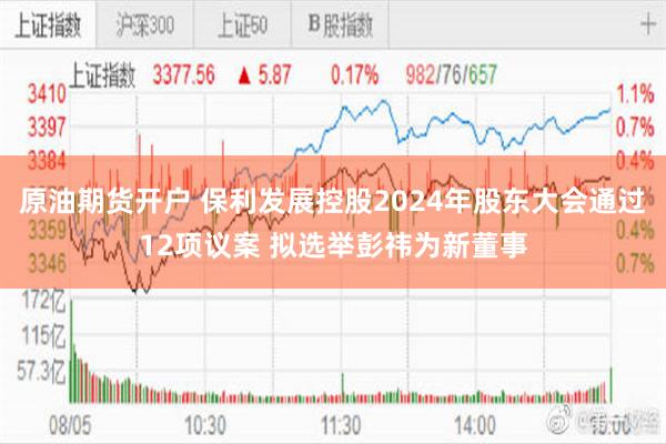 原油期货开户 保利发展控股2024年股东大会通过12项议案 拟选举彭祎为新董事