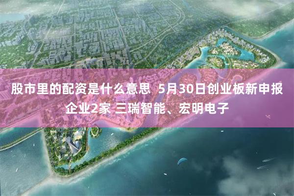 股市里的配资是什么意思  5月30日创业板新申报企业2家 三瑞智能、宏明电子