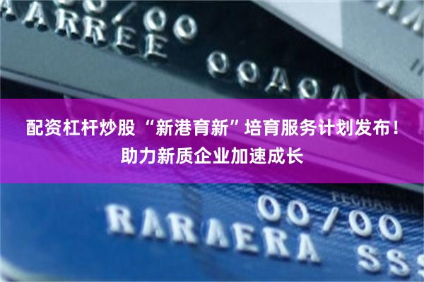 配资杠杆炒股 “新港育新”培育服务计划发布！助力新质企业加速成长