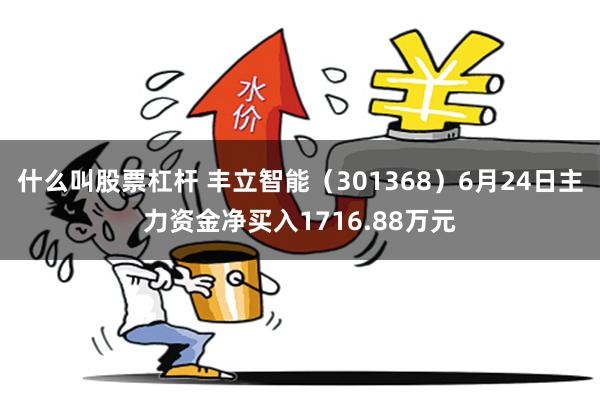 什么叫股票杠杆 丰立智能（301368）6月24日主力资金净买入1716.88万元