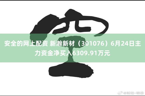 安全的网上配资 新瀚新材（301076）6月24日主力资金净买入6309.91万元