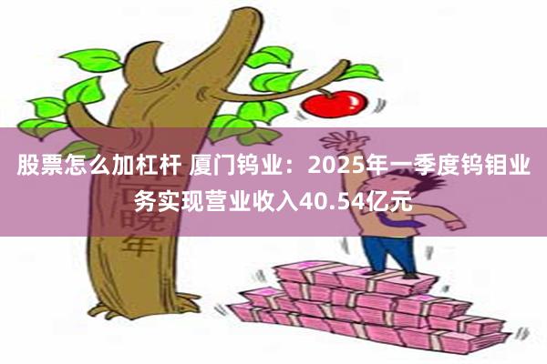 股票怎么加杠杆 厦门钨业：2025年一季度钨钼业务实现营业收入40.54亿元