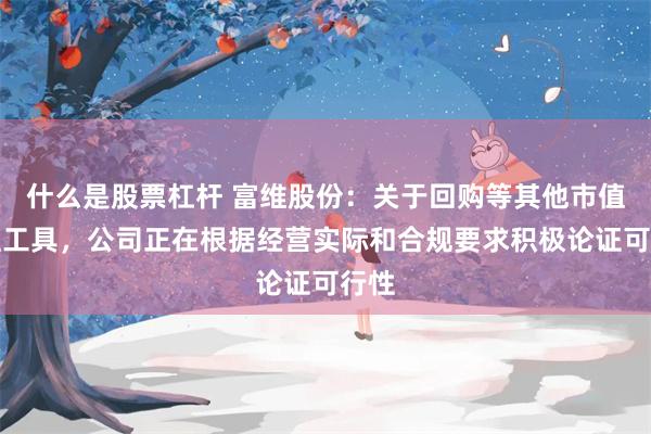 什么是股票杠杆 富维股份：关于回购等其他市值管理工具，公司正在根据经营实际和合规要求积极论证可行性