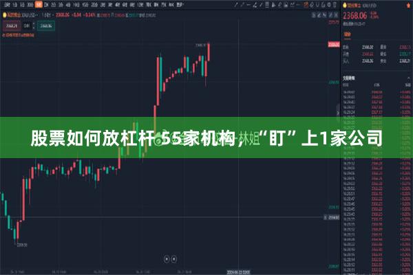 股票如何放杠杆 55家机构,“盯”上1家公司