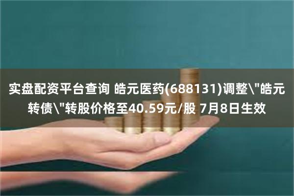 实盘配资平台查询 皓元医药(688131)调整