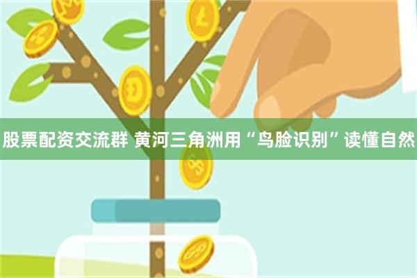 股票配资交流群 黄河三角洲用“鸟脸识别”读懂自然
