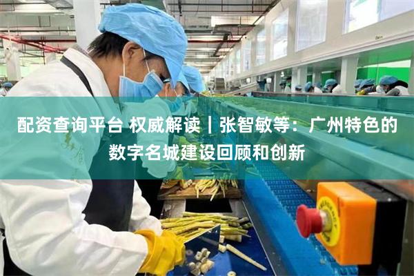 配资查询平台 权威解读｜张智敏等：广州特色的数字名城建设回顾和创新