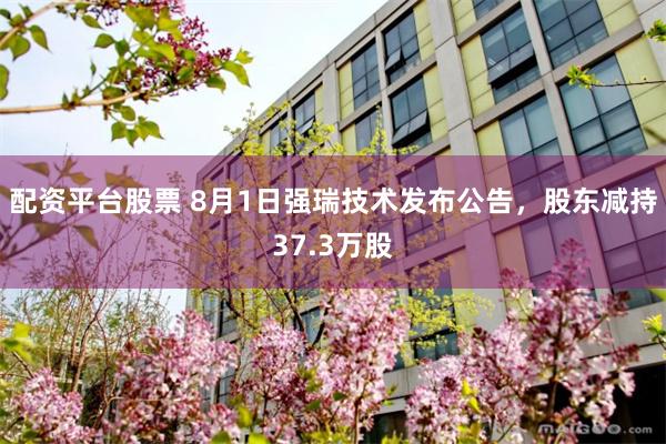 配资平台股票 8月1日强瑞技术发布公告，股东减持37.3万股