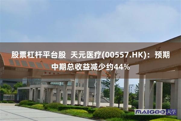 股票杠杆平台股  天元医疗(00557.HK)：预期中期总收益减少约44%