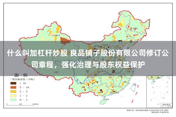什么叫加杠杆炒股 良品铺子股份有限公司修订公司章程，强化治理与股东权益保护