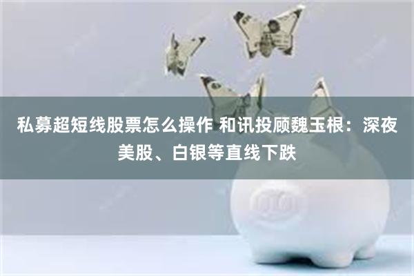 私募超短线股票怎么操作 和讯投顾魏玉根：深夜美股、白银等直线下跌