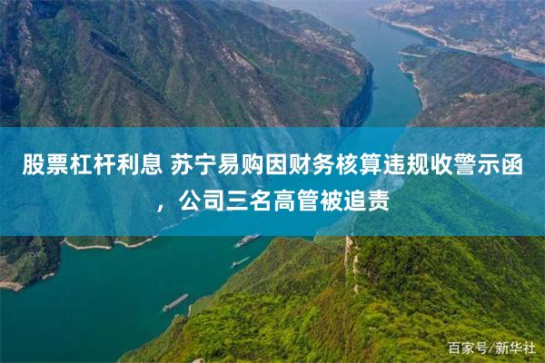 股票杠杆利息 苏宁易购因财务核算违规收警示函，公司三名高管被追责