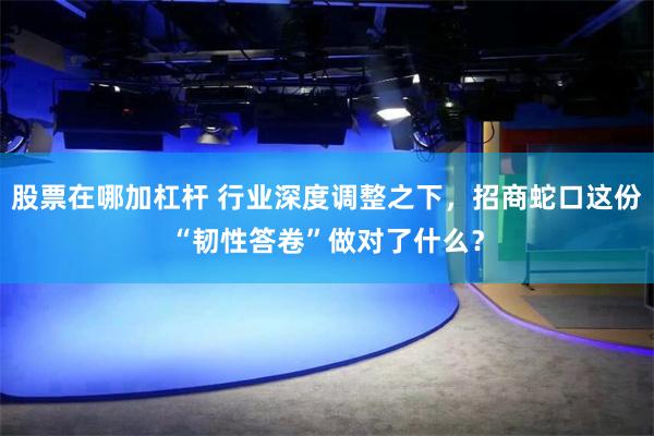 股票在哪加杠杆 行业深度调整之下,招商蛇口这份“韧性答卷”做对了什么?