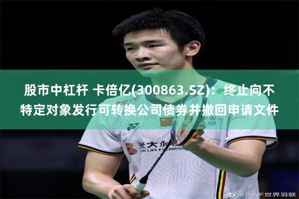 股市中杠杆 卡倍亿(300863.SZ)：终止向不特定对象发行可转换公司债券并撤回申请文件