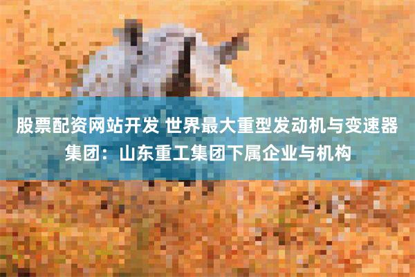 股票配资网站开发 世界最大重型发动机与变速器集团：山东重工集团下属企业与机构