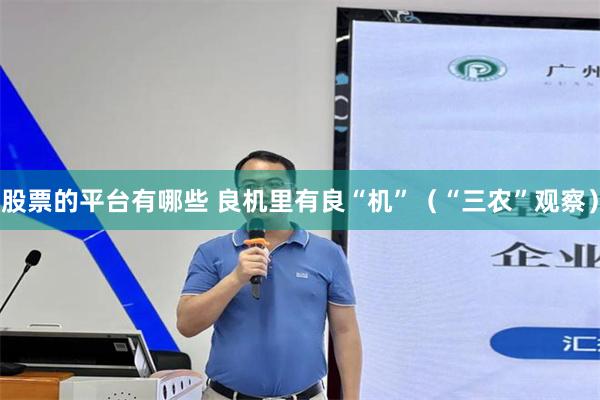 股票的平台有哪些 良机里有良“机”(“三农”观察)