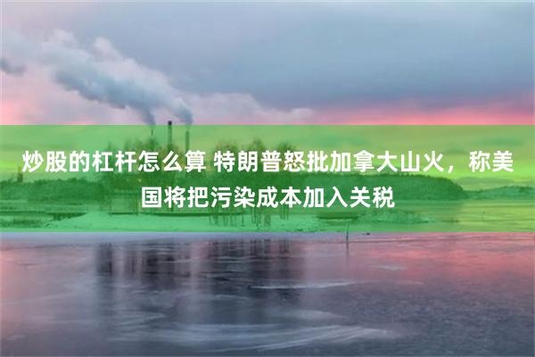 炒股的杠杆怎么算 特朗普怒批加拿大山火，称美国将把污染成本加入关税