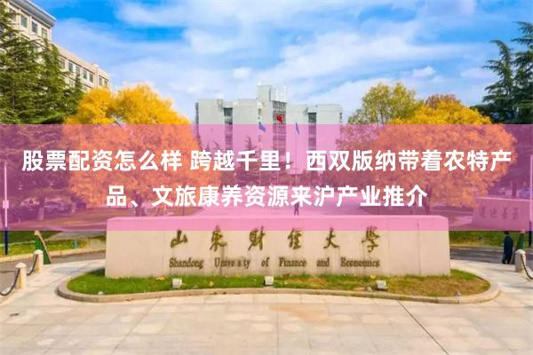 股票配资怎么样 跨越千里！西双版纳带着农特产品、文旅康养资源来沪产业推介