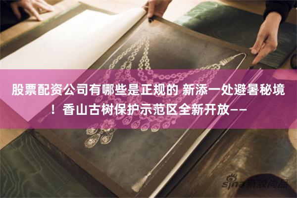 股票配资公司有哪些是正规的 新添一处避暑秘境!香山古树保护示范区全新开放——