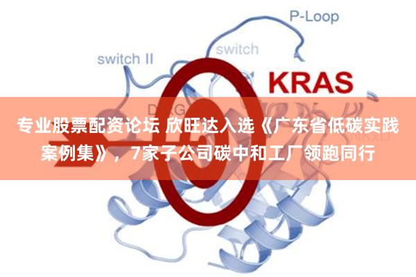 专业股票配资论坛 欣旺达入选《广东省低碳实践案例集》,7家子公司碳中和工厂领跑同行