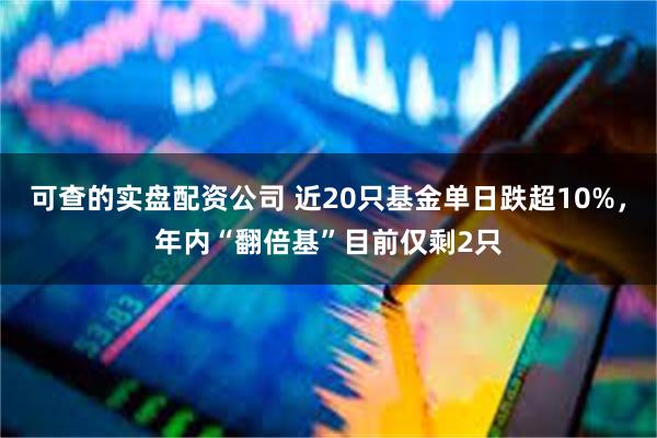 可查的实盘配资公司 近20只基金单日跌超10%，年内“翻倍基”目前仅剩2只