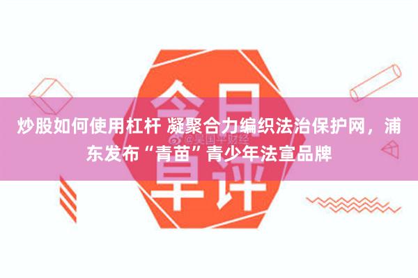 炒股如何使用杠杆 凝聚合力编织法治保护网,浦东发布“青苗”青少年法宣品牌