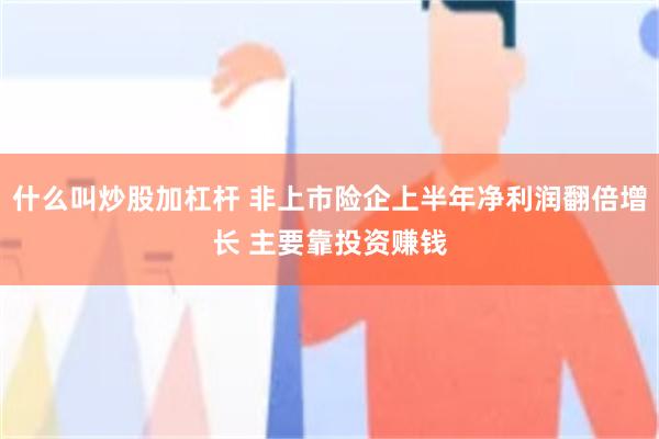 什么叫炒股加杠杆 非上市险企上半年净利润翻倍增长 主要靠投资赚钱