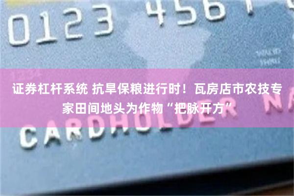 证券杠杆系统 抗旱保粮进行时!瓦房店市农技专家田间地头为作物“把脉开方”