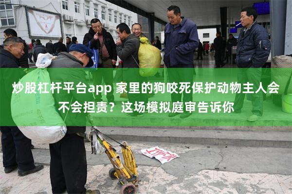 炒股杠杆平台app 家里的狗咬死保护动物主人会不会担责？这场模拟庭审告诉你