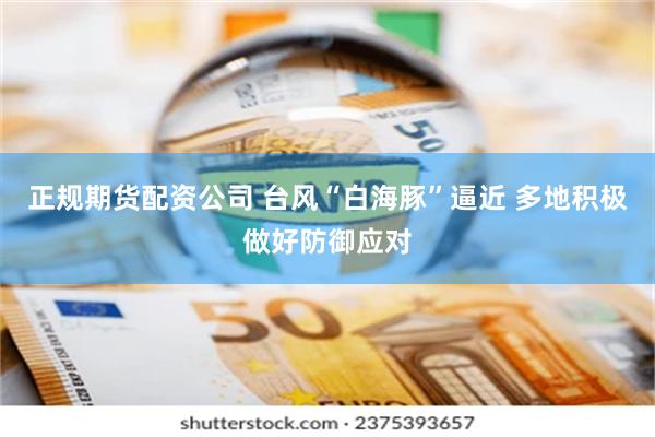 正规期货配资公司 台风“白海豚”逼近 多地积极做好防御应对