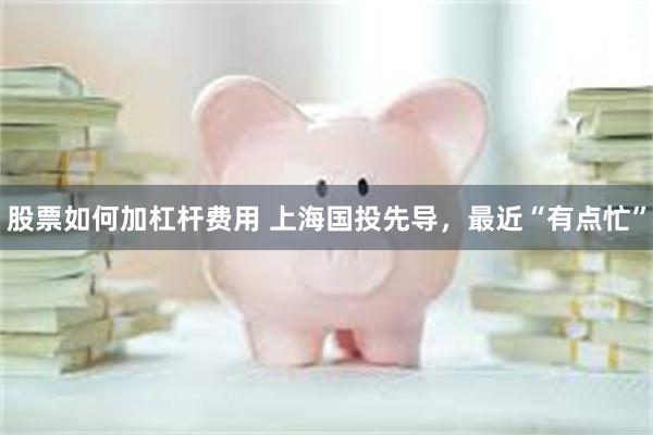 股票如何加杠杆费用 上海国投先导,最近“有点忙”