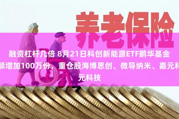 融资杠杆几倍 8月21日科创新能源ETF鹏华基金份额增加100万份，重仓股海博思创、微导纳米、嘉元科技