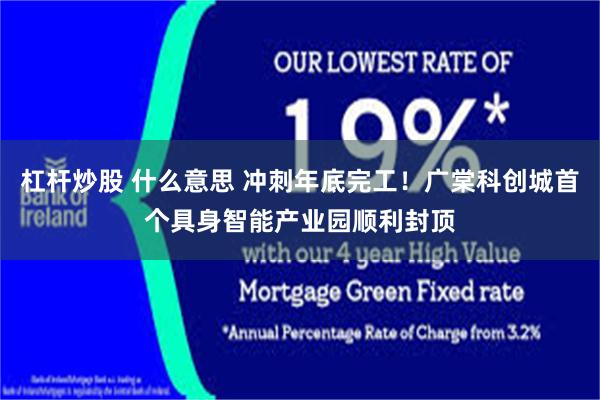 杠杆炒股 什么意思 冲刺年底完工!广棠科创城首个具身智能产业园顺利封顶