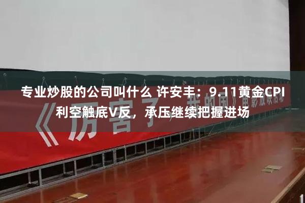 专业炒股的公司叫什么 许安丰：9.11黄金CPI利空触底V反，承压继续把握进场